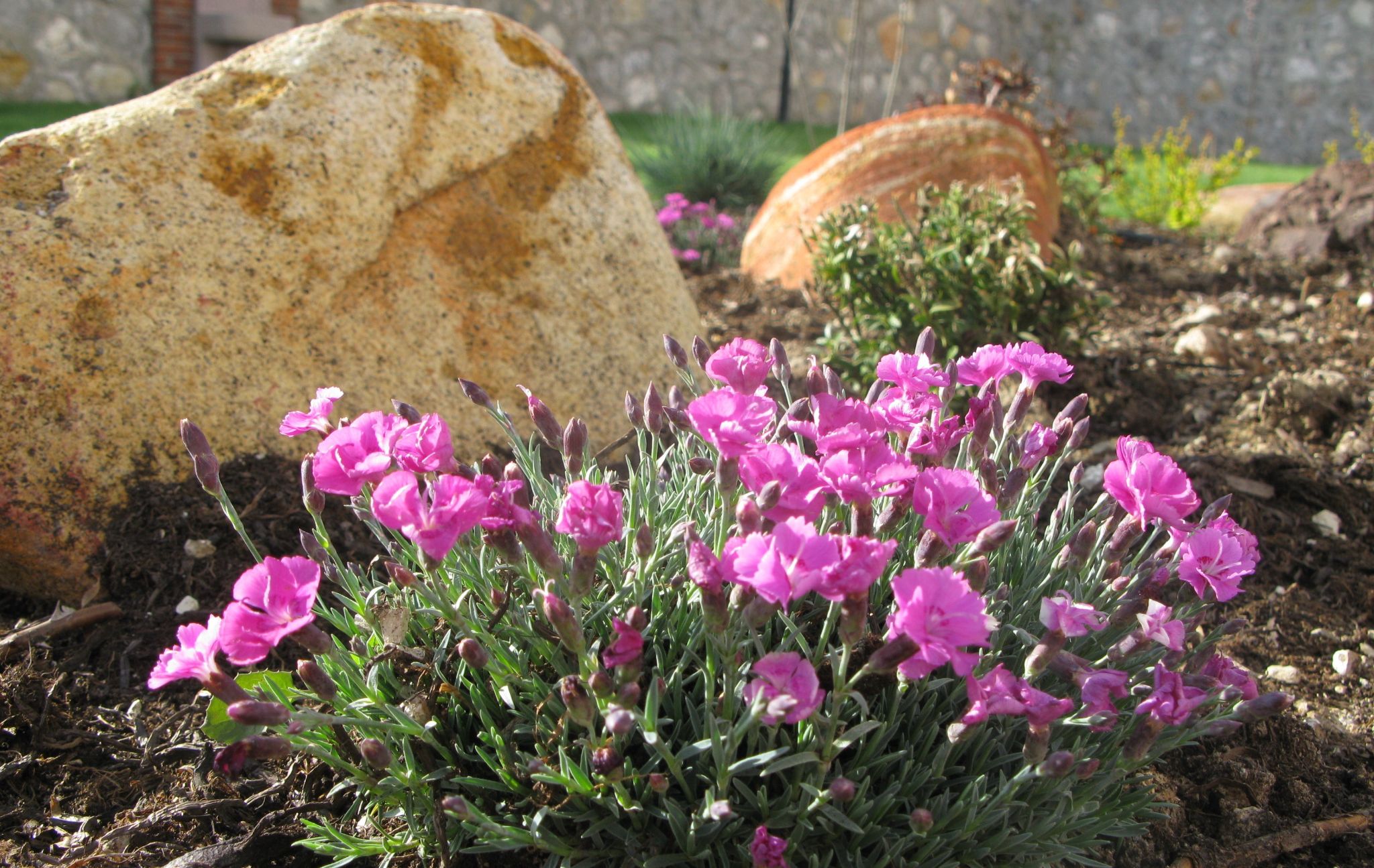 ÇAKILLI PEYZAJ UYGULAMAMIZ